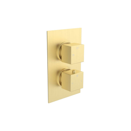 Tabo Sorrento 1 - Brushed Brass Square Shower Valve & Kit