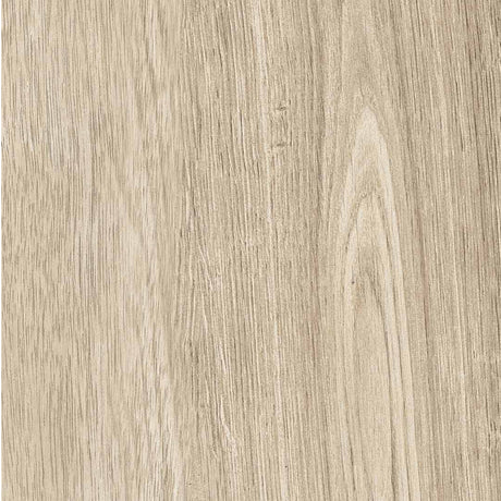 Unicom Starker Linfa Acero (detail)