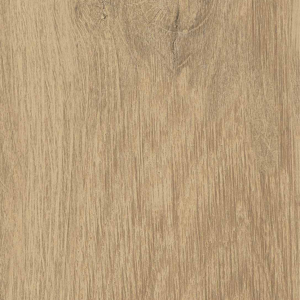 Unicom Starker Linfa Quercia (detail)