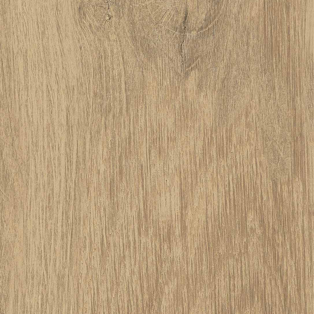 Unicom Starker Linfa Quercia (detail)