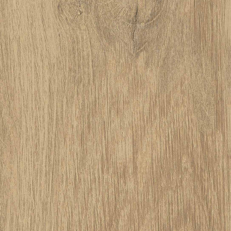 Unicom Starker Linfa Quercia (detail)