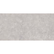 Zenith Grey Gloss Wall Tile 30 x 60cm
