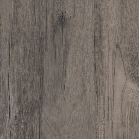 ABK Dolphin Coal (detail)