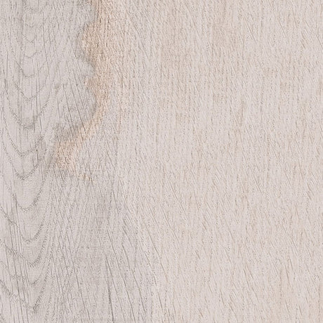 ABK Dolphin Moon (detail)