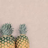 ABK Wide&Style Mini Solid Colours Powder