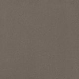 Casalgrande Titano Grigio Ash Tile