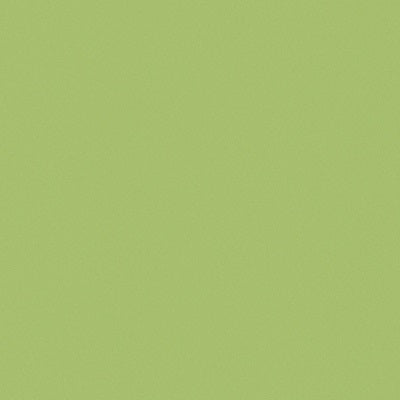 Casalgrande Architecture Acid Green Matt