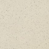 Industry Anti-Slip Cream Speckled Starface 20 x 20cm