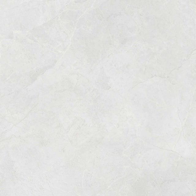 Tones Gris Semi Polished Tile 80 x 80cm