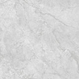 Allegro Light Grey Polished Tile 60 x 60cm
