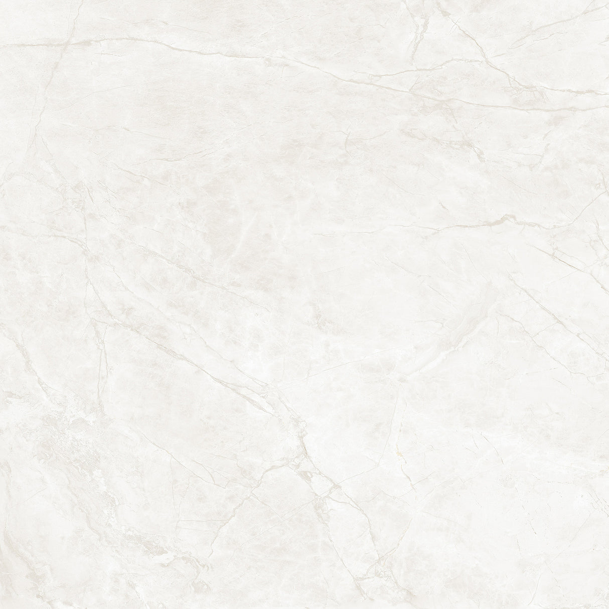 Allegro Pearl Polished Tile 60 x 60cm