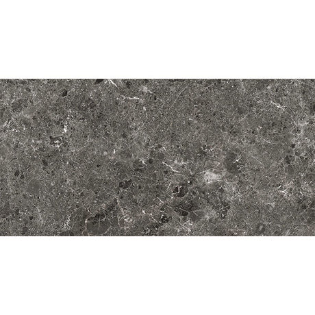 Grespania Coverlam Artic Antracita Large Format Tile (120 x 260cm)
