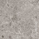 Grespania Coverlam Artic Gris Large Format Tile (120 x 120cm)