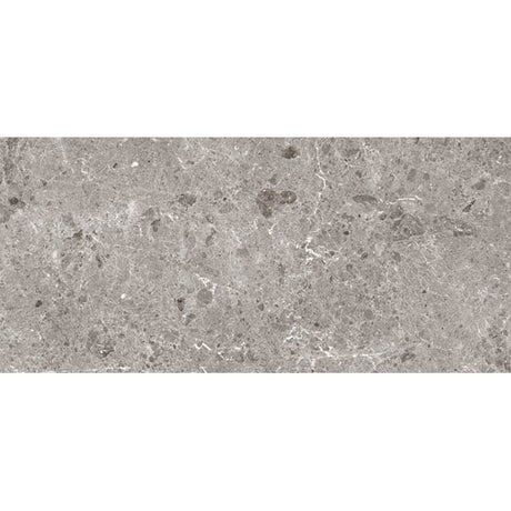 Grespania Coverlam Artic Gris Large Format Tile (120 x 260cm)