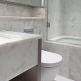 IS Carrara White Polished Marble
