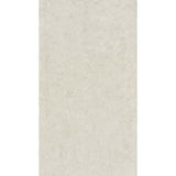 Lounge Ivory Matt 30 x 60cm