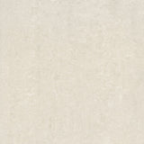 Lounge Polished Ivory 60 x 60cm