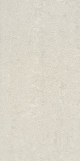 Lounge Ivory Matt 30 x 60cm