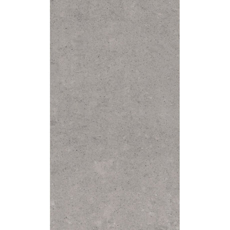 Lounge Light Grey Matt 30 x 60cm 