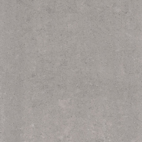 Lounge Polished Light Grey 60 x 60cm