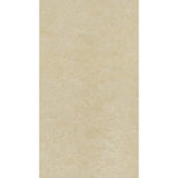 Lounge Polished Beige 30 x 60cm