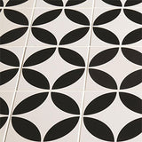 Odyssey Bavaria Black on Dover White Tiles