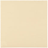 Odyssey Co-ordinating Plain White Tile