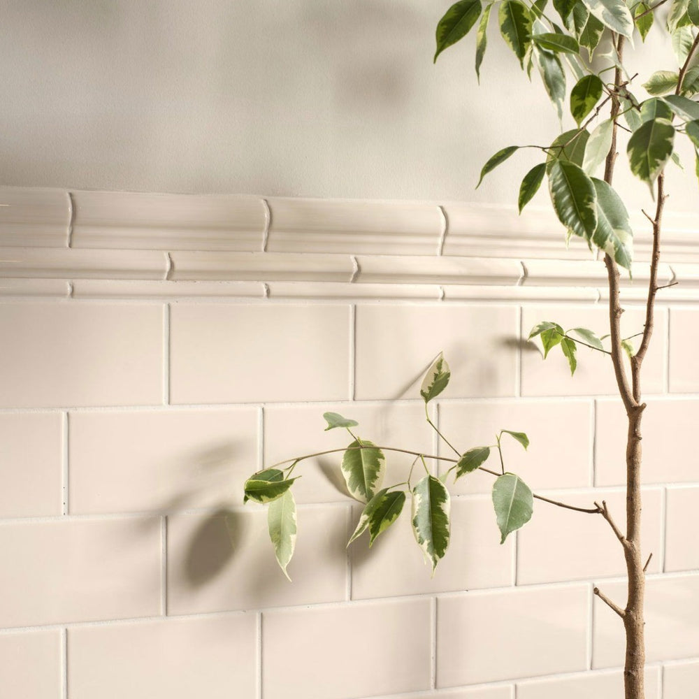 Original Style Omega Ivory Borders