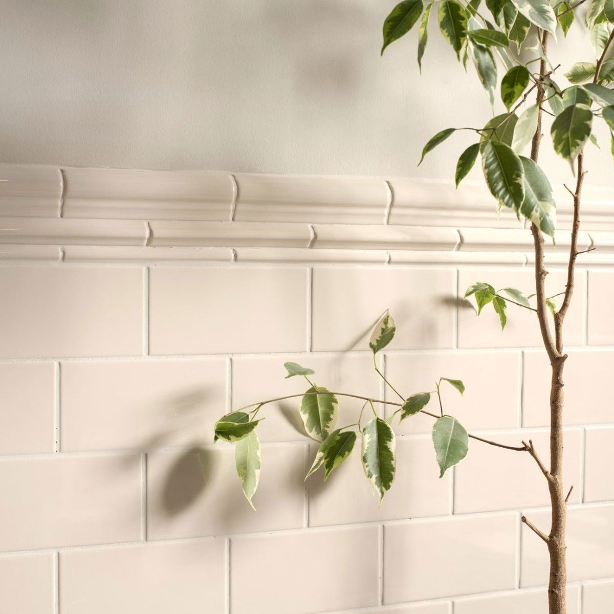 Original Style Omega Ivory Borders