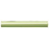 Original Style Astragal Palm Green Border