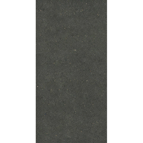 Porcelanosa Avenue Black Nature 29.7 x 59.6cm