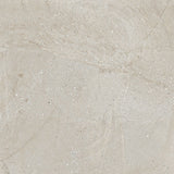 Porcelanosa Durango Acero Tile (detail)