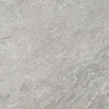 Porcelanosa Image Silver Tile, detail