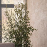 Porcelanosa Image Silver Tiles
