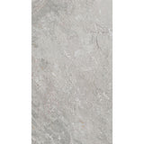Porcelanosa Image Silver Tile 33.3 x 59.2cm
