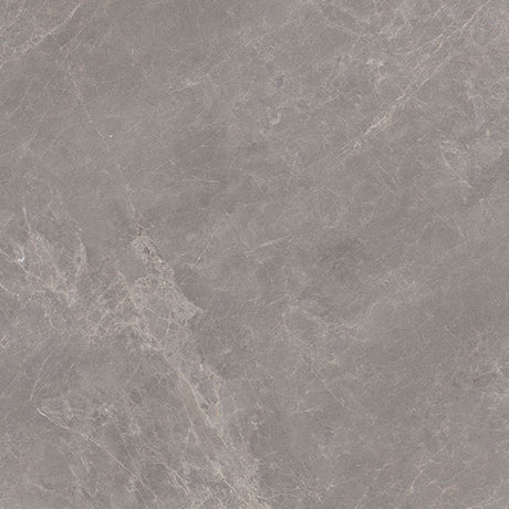 Porcelanosa Mystic Grey Tile (detail)