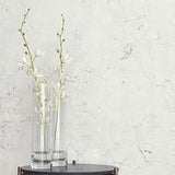 Porcelanosa Fontana Tiles
