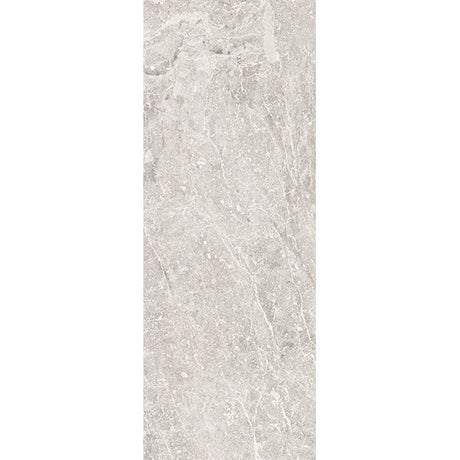 Porcelanosa Noir Caliza Tile 45 x 120cm