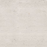 Porcelanosa Rodano Caliza Tile (detail)