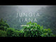 Grespania Jungla Video