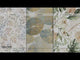 Grespania Flandes Video