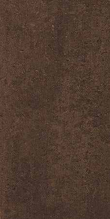 Ramona Brown Levigato 30 x 60cm