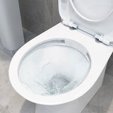 Savino Rimless C/C Open Back WC & Soft Close Seat