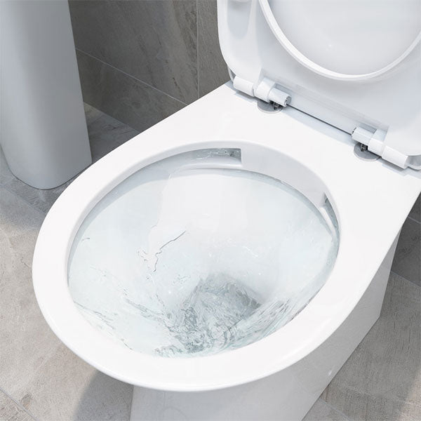 Savino Rimless WC