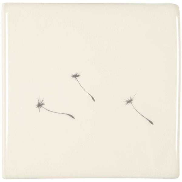 Winchester Classic Dandelion Seeds 10.5 x 10.5cm
