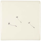 Winchester Classic Dandelion Seeds 10.5 x 10.5cm