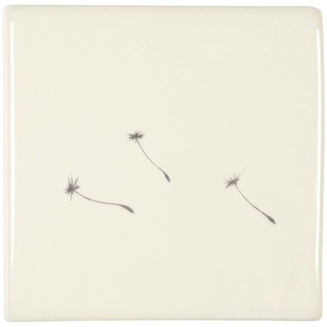 Winchester Classic Dandelion Seeds 10.5 x 10.5cm