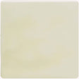 Winchester Classic Fennel Field Tile 12.7 x 12.7cm
