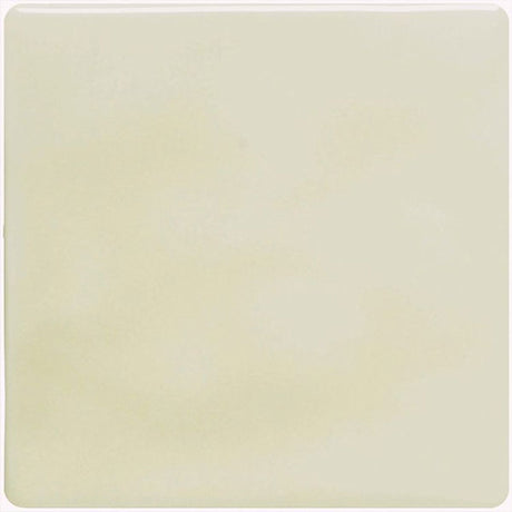 Winchester Classic Fennel Field Tile 12.7 x 12.7cm