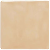 Winchester Classic Pebble Field Tile 12.7 x 12.7cm